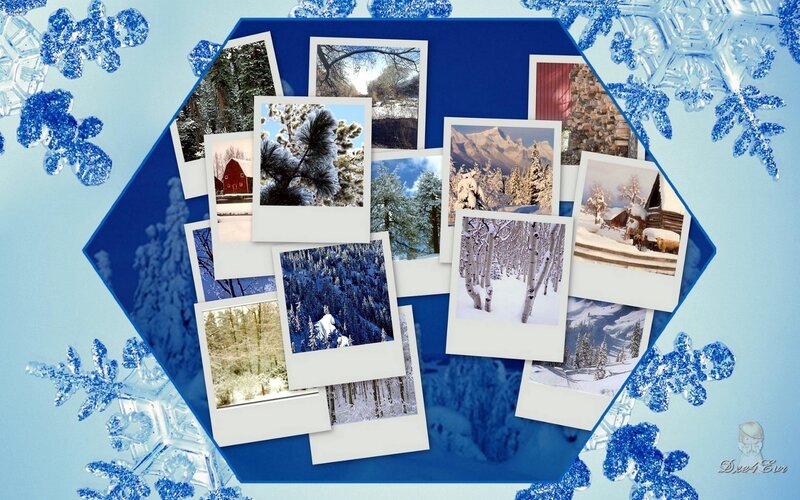 Snow-covered Landscape Photos