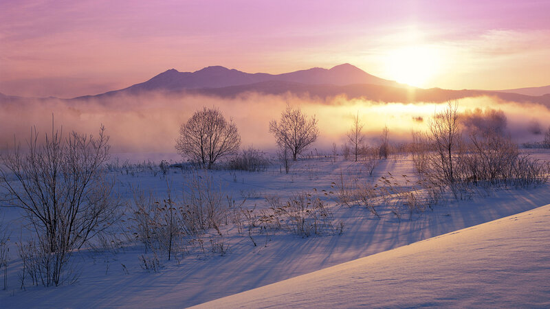 Snow-covered Landscape — Purple, Serene, Winter