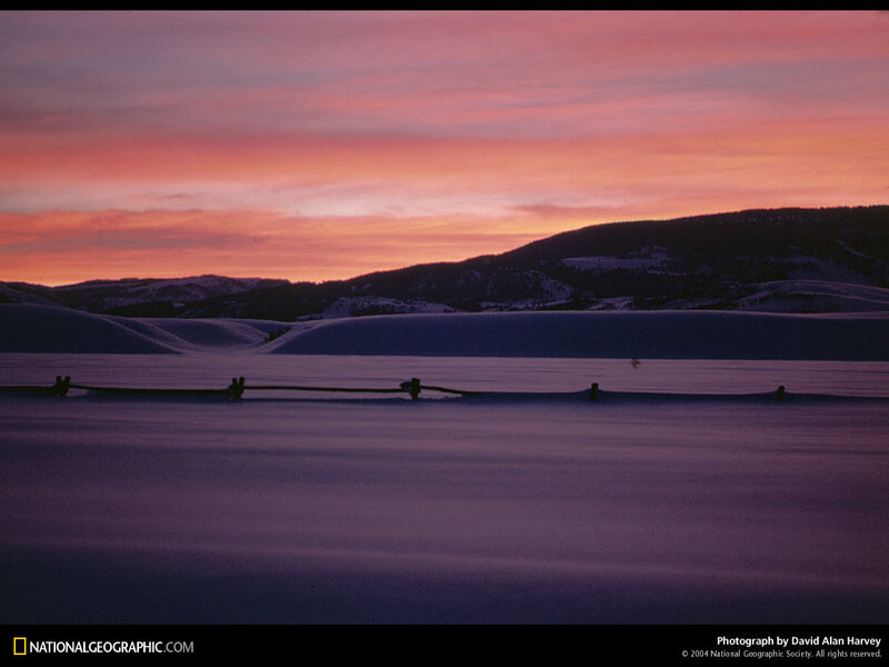 Snow-covered Landscape — Purple