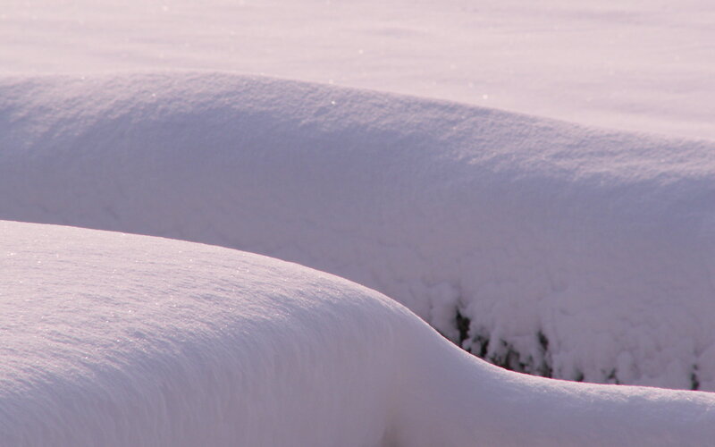 snow-covered landscape