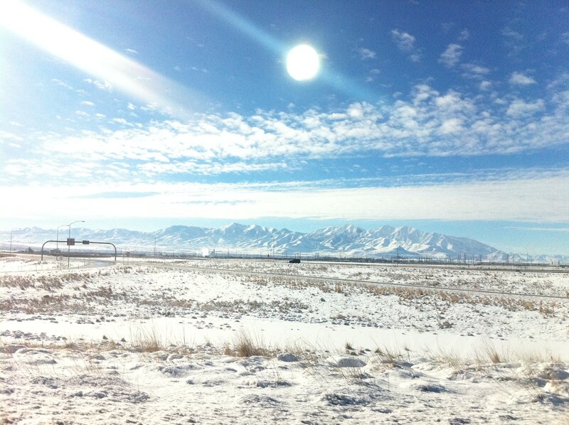 Snow-covered Landscape — White, Bright