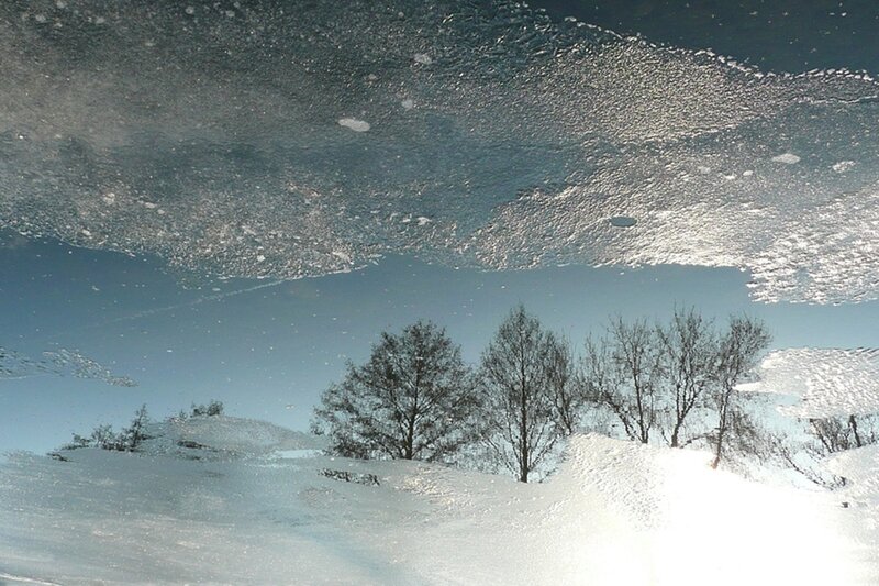 Snow-covered Landscape — White, Cold