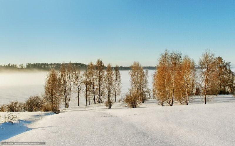 Snow-covered Landscape — White, Serene, Morning