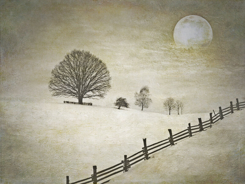 Snow-covered Landscape — White, Serene, Night