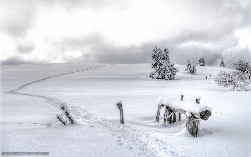Snow-covered Landscape — White, Serene, Winter, Photograph, Fence, Trees