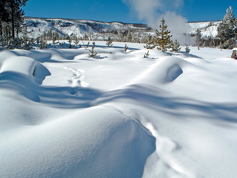 Snow-covered Landscape — White, Serene, Winter, Photograph