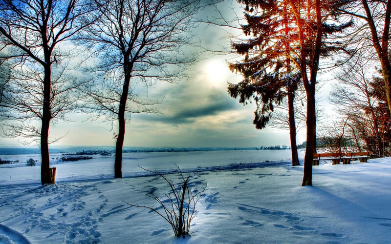 Snow-covered Landscape — White, Serene, Winter, Photograph, Trees, Bench