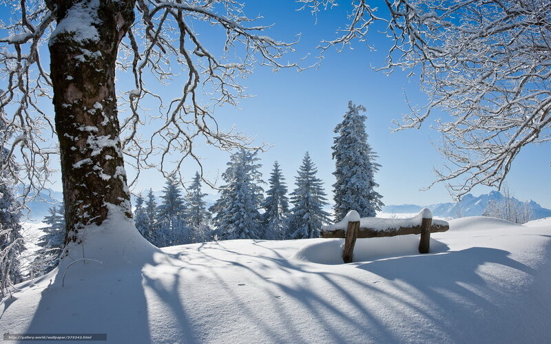 Snow-covered Landscape — White, Serene, Winter, Photograph, Trees, Fence
