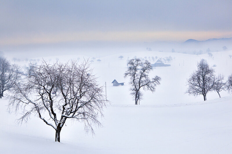 Snow-covered Landscape — White, Serene, Winter, Photograph, Trees, Huts