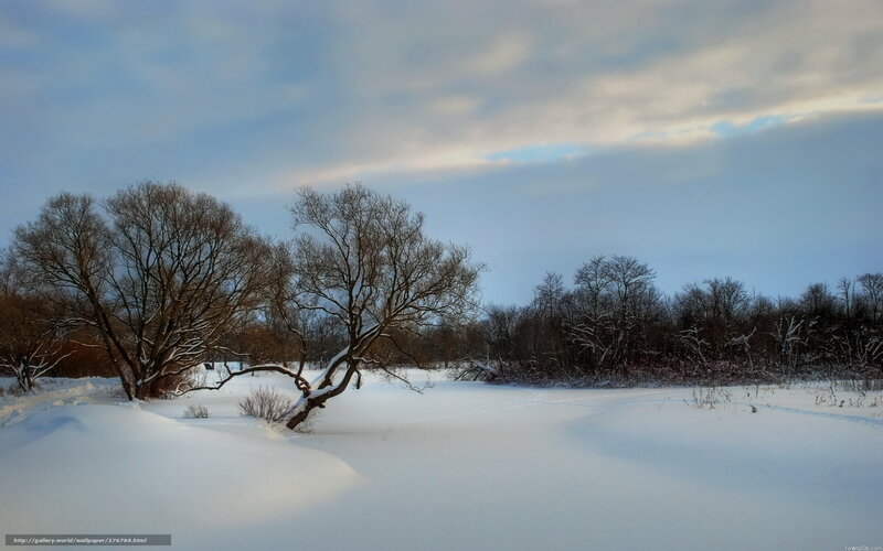 Snow-covered Landscape — White, Serene, Winter, Photograph, Trees, Sky