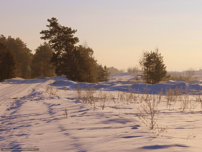 Snow-covered Landscape — White, Serene, Winter, Photograph, Trees, Snowdrifts