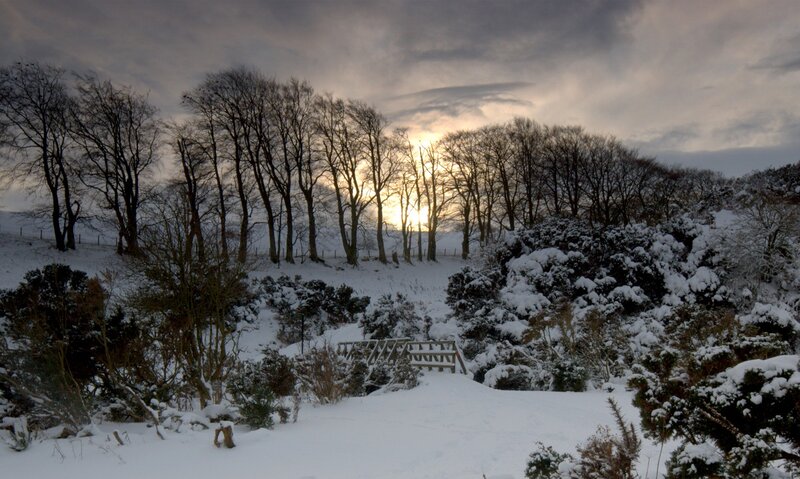 Snow-covered Landscape — White, Serene, Winter, Photograph, Trees, Sun, Fence
