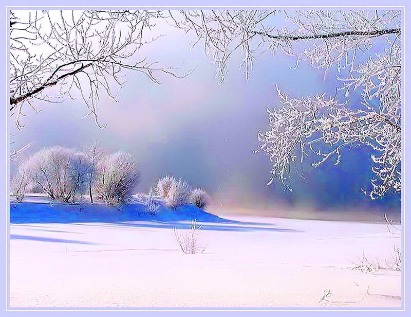 Snow-covered Landscape — White