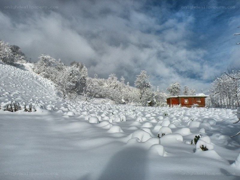 Snow-covered landscape with cabin