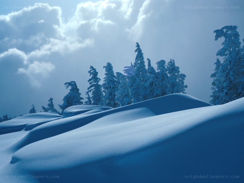 Snow-covered landscape with trees