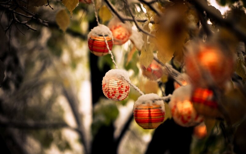 Snow-covered Lanterns on Tree