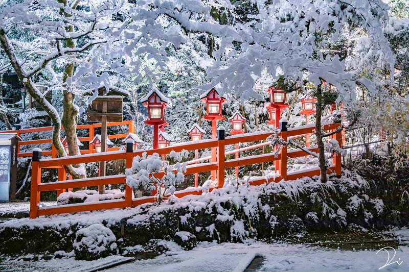 Snow-covered Lanterns — Red, Serene
