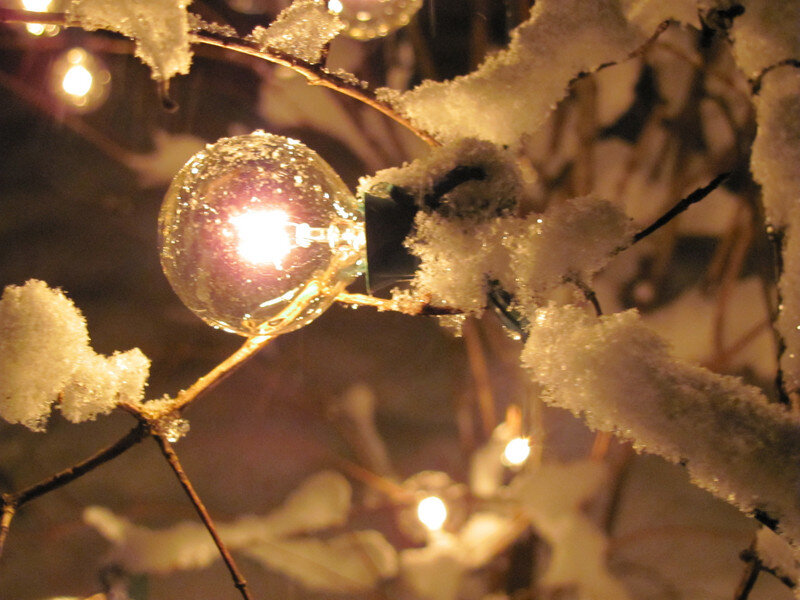 Snow-covered Light Bulb