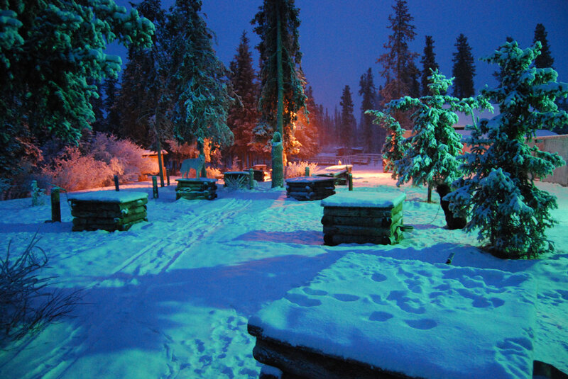 Snow-covered Log Benches