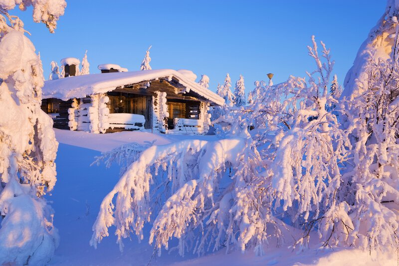 Snow-covered Log Cabin — White, Serene, Winter, Photograph, Trees
