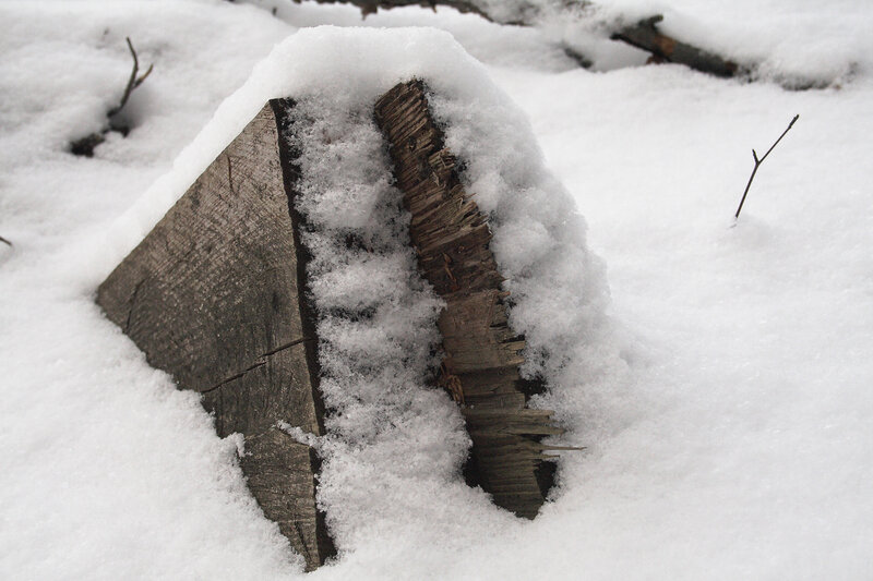 snow-covered log in winter
