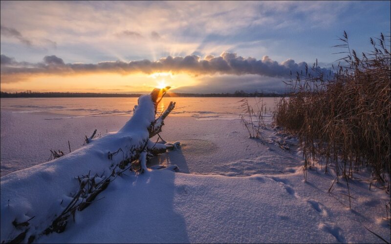 Snow-covered Log on Frozen Lake