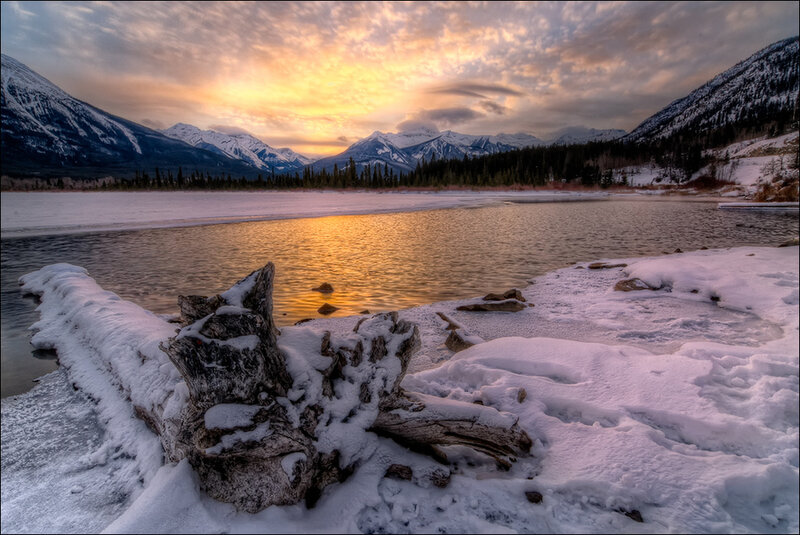 Snow-covered Log on Lake Shore