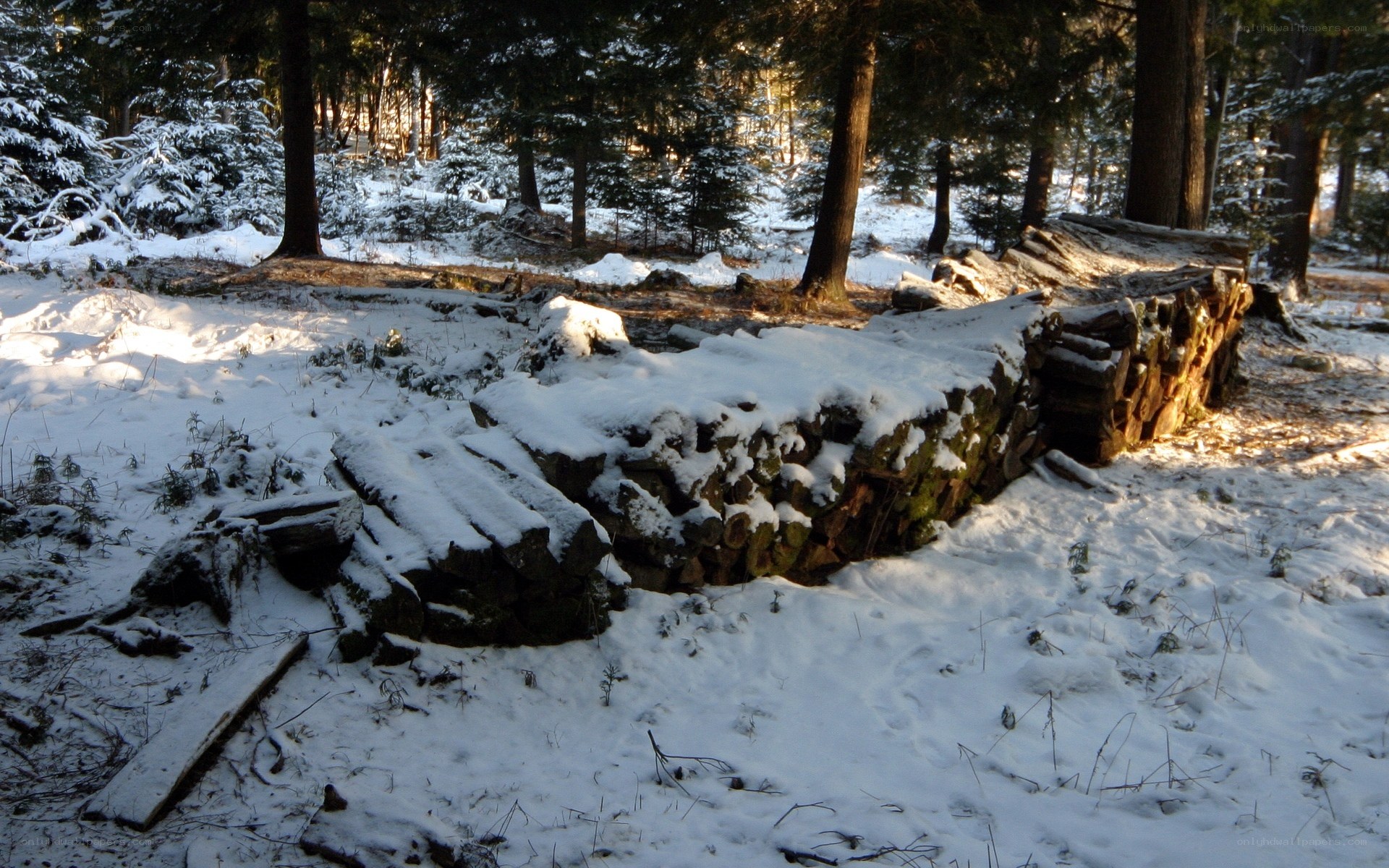 Snow-covered log structure in forest