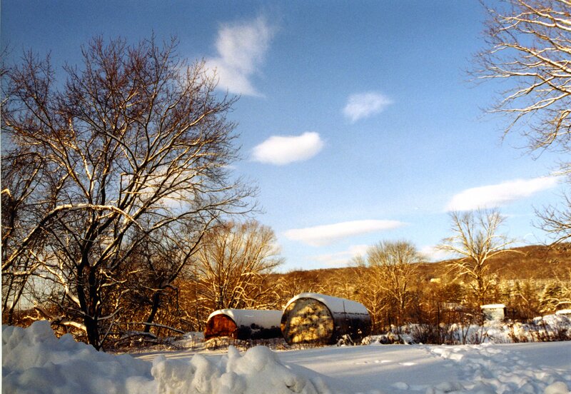 Snow-covered Logs