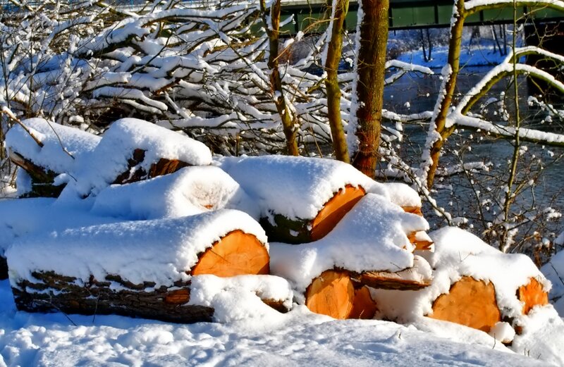 Snow-covered Logs — White