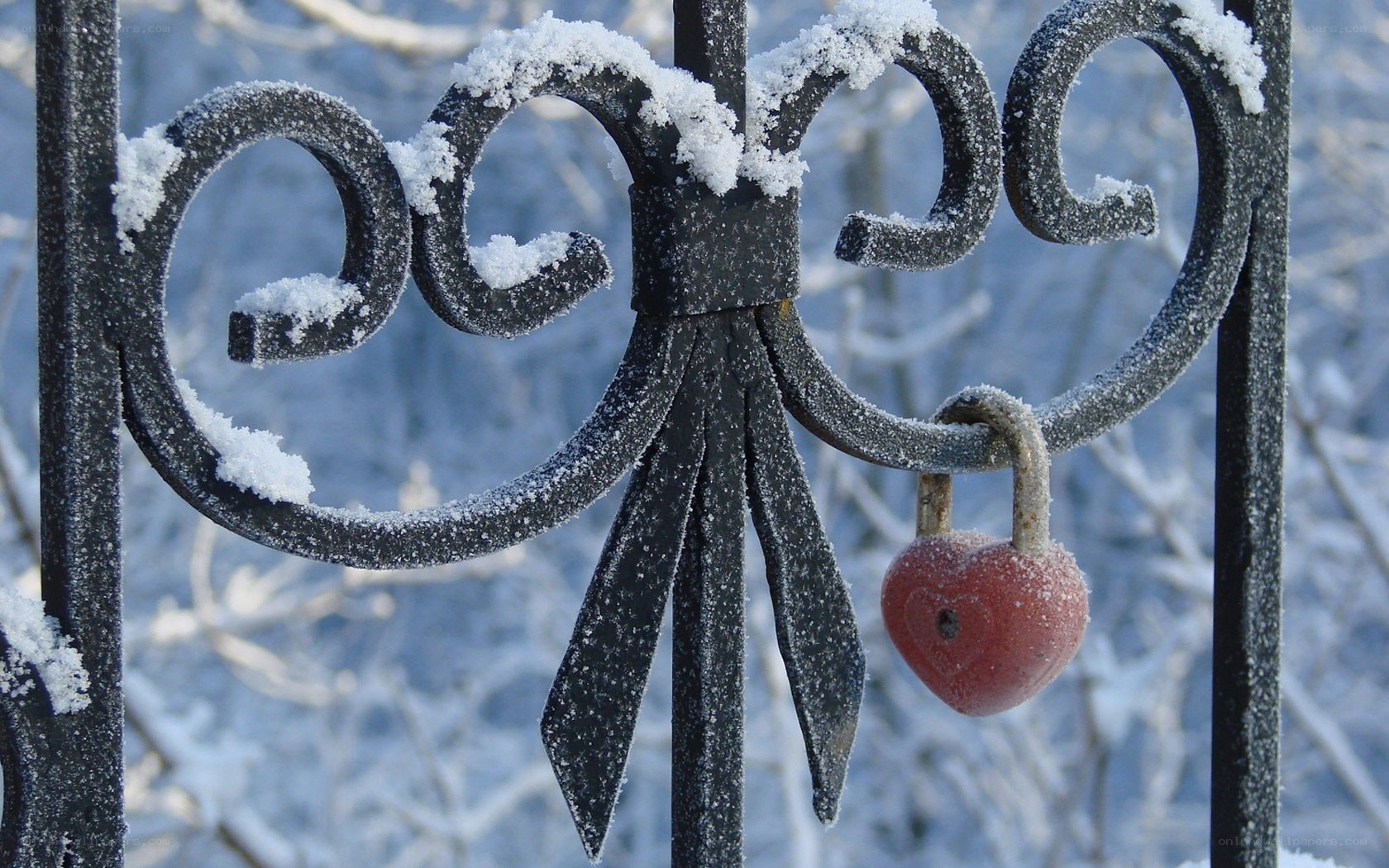 Snow-covered love lock