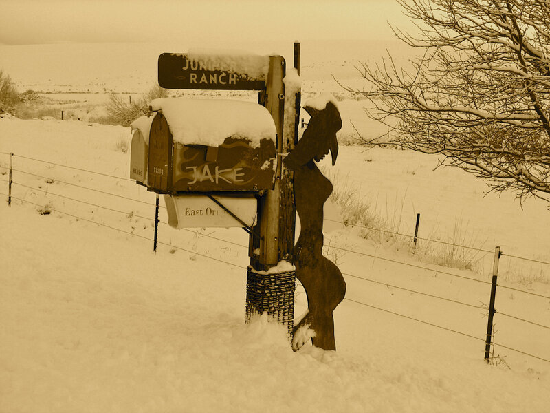 Snow-covered Mailbox — Brown