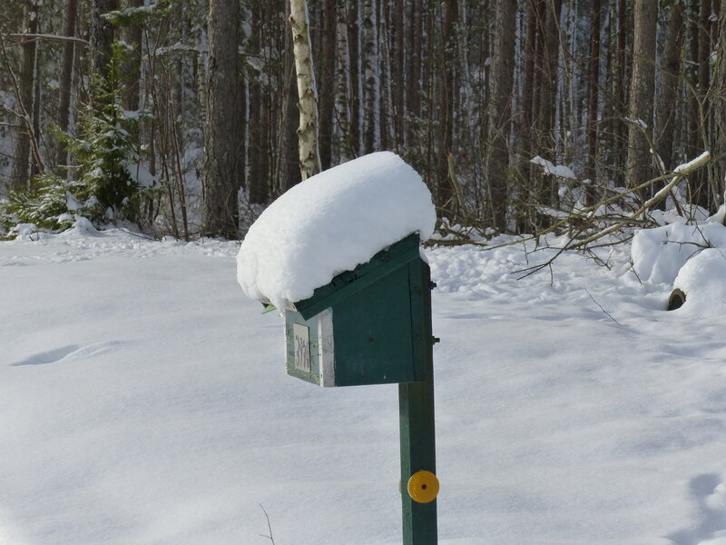 Snow-covered Mailbox — White, Quiet
