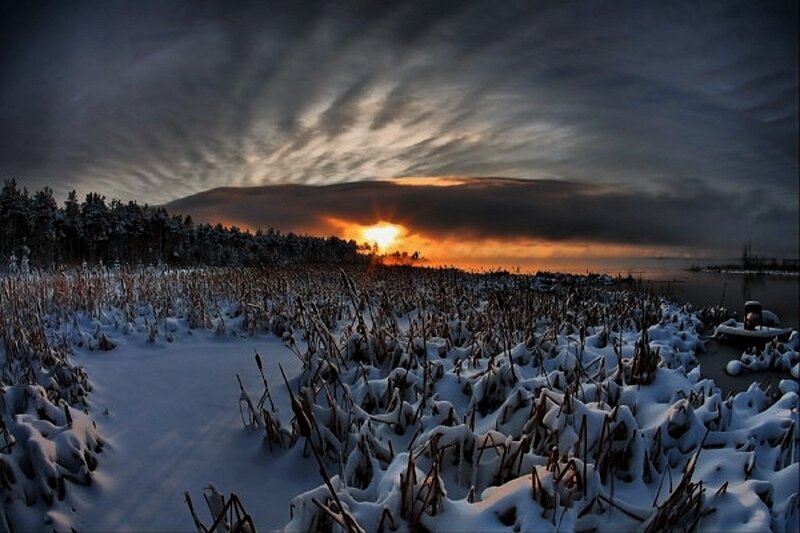 Snow-covered Marsh at Sunset