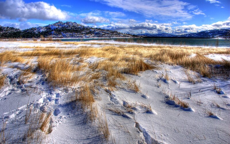 Snow-covered Marshland