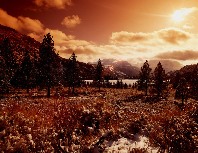 Snow-covered Meadow — Orange