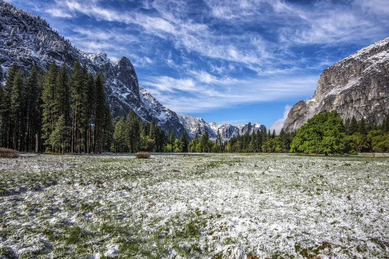 Snow-covered Meadow