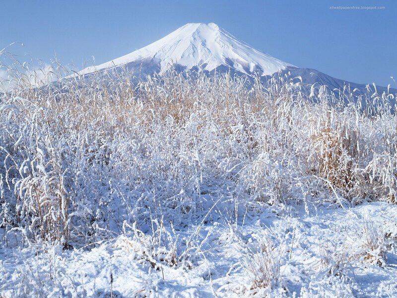 Snow-covered Mount Fuji — White, Serene