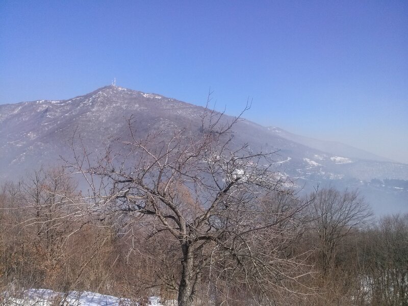 Snow-covered Mountain — Blue, Serene, Winter, Photograph, Bare Tree