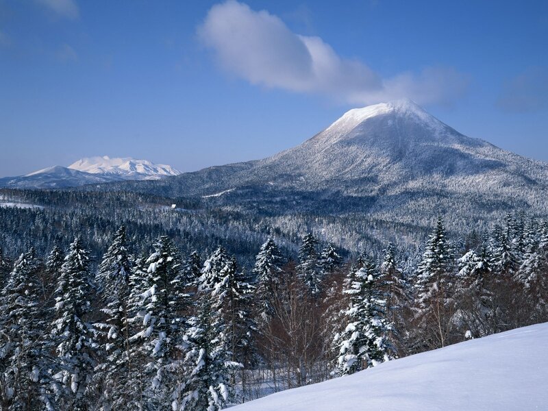 Snow-covered Mountain — Blue, Serene, Winter, Photograph, Forest