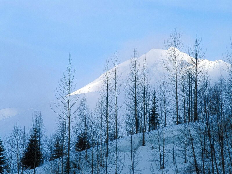 Snow-covered Mountain — Blue, Serene, Winter, Photograph, Trees, Snow
