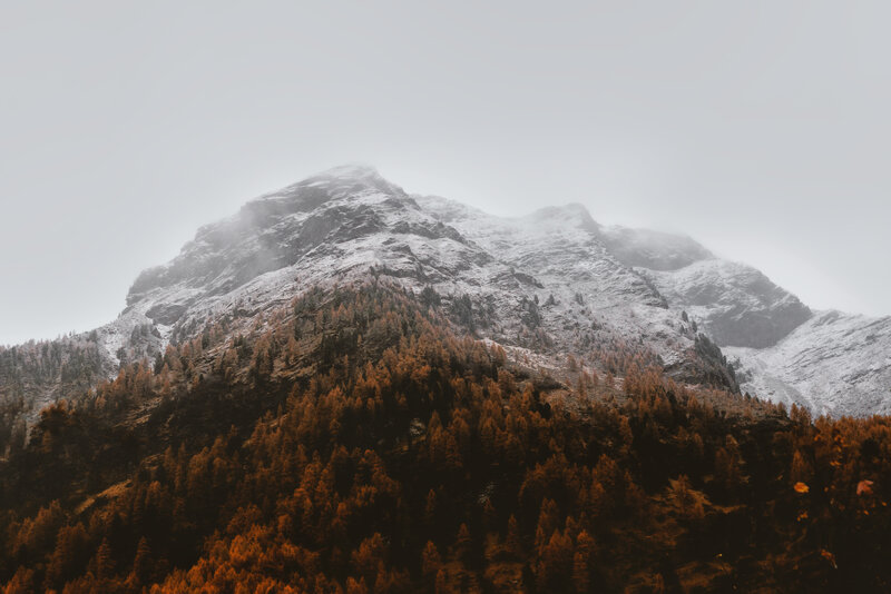 Snow-covered Mountain — Brown, Moody