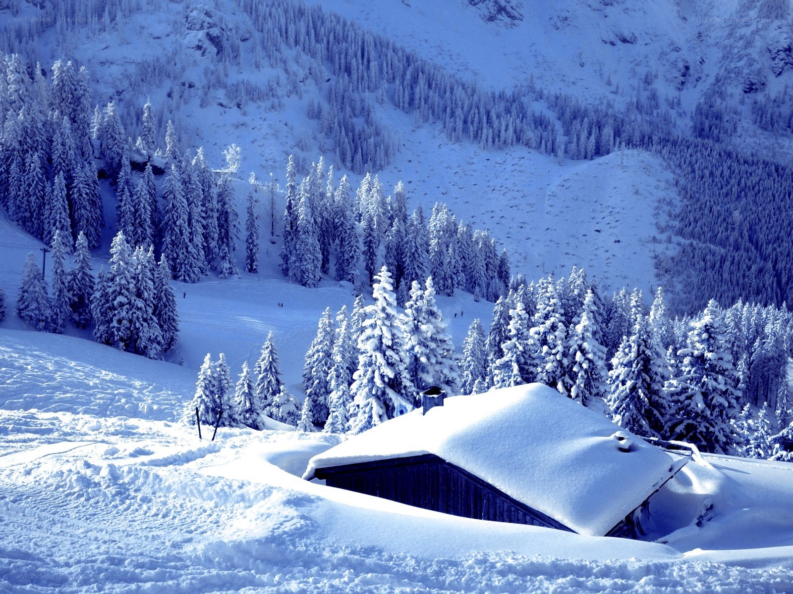 Snow-covered mountain cabin