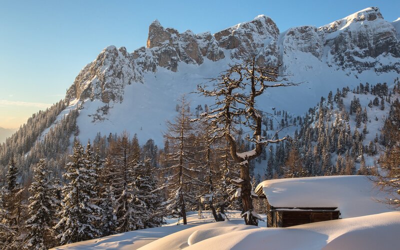 Snow-covered Mountain Cabin — White, Serene
