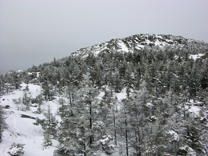 Snow-covered mountain forest