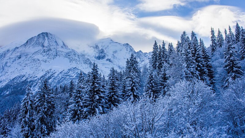 Snow-covered Mountain Forest — Blue