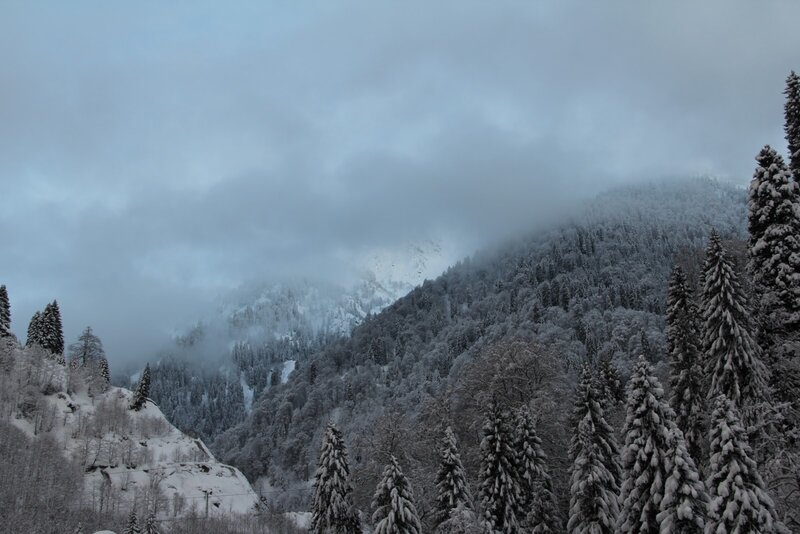 Snow-covered Mountain Forest — White, Cold
