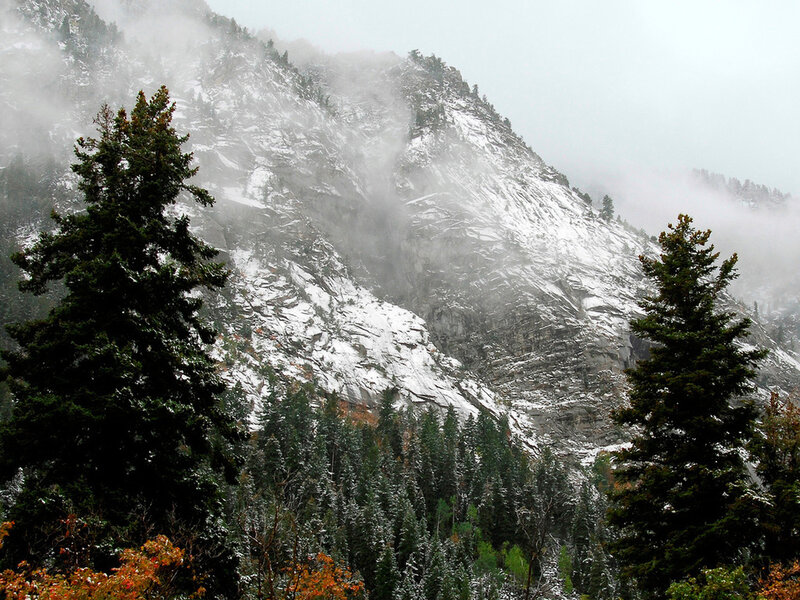 Snow-covered Mountain — Green, Misty