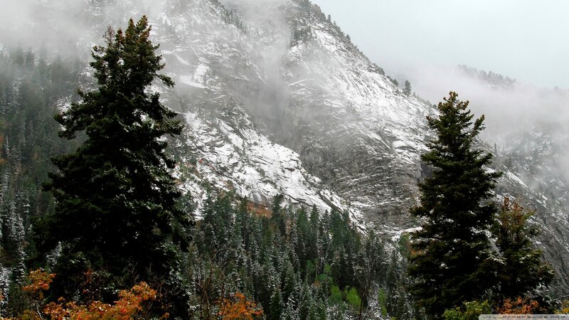 Snow-covered Mountain — Green, Misty, Winter