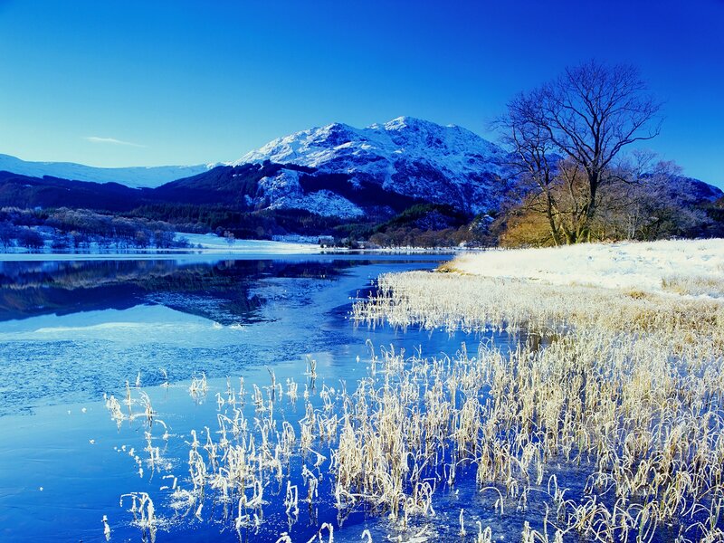 Snow-covered Mountain Lake — Blue, Serene, Winter, Photograph, Tree